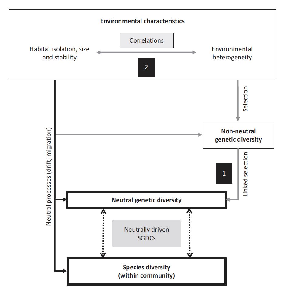 fig 02